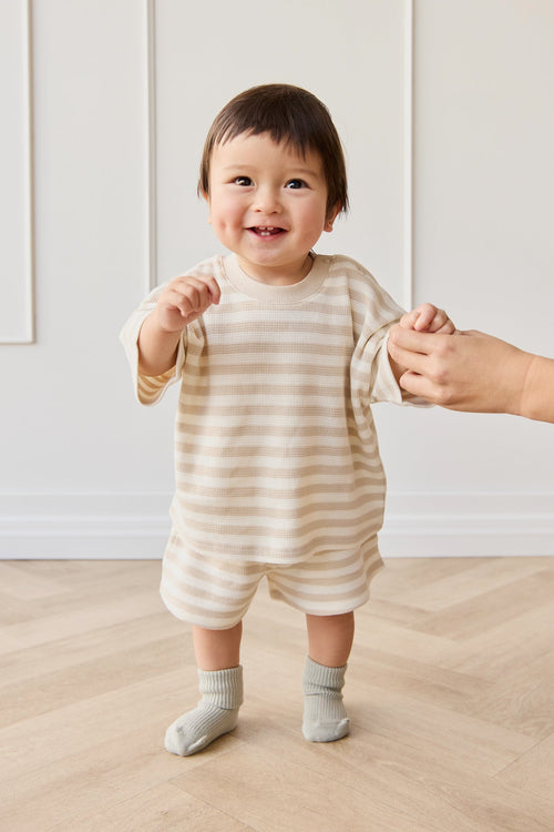 Chaussettes Côtelées Classiques Bleu Uni en Coton avec Mélange Extensible Respirant pour Enfants de 0 mois à 10 ans